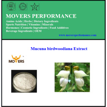 Bom preço Alta qualidade Mucuna Birdwoodiana Extract (caule)